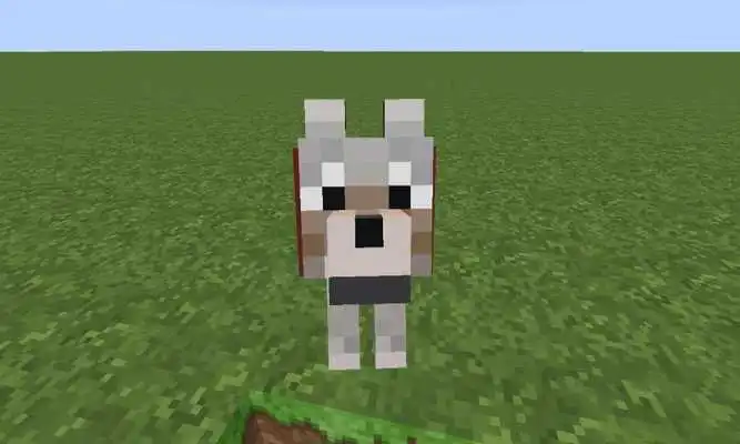 Play Animal Pet MCPE Mods