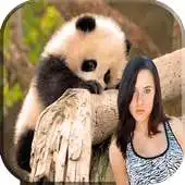 Free play online Animal Photo Effect APK