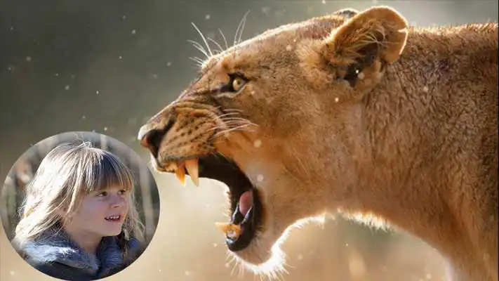 Play Animal Photo Effect