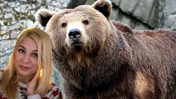 Play Animal Photo Effect