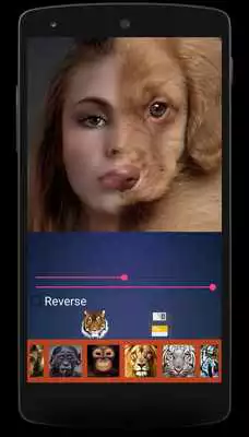 Play Animal Photo Face Mix