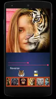 Play Animal Photo Face Mix
