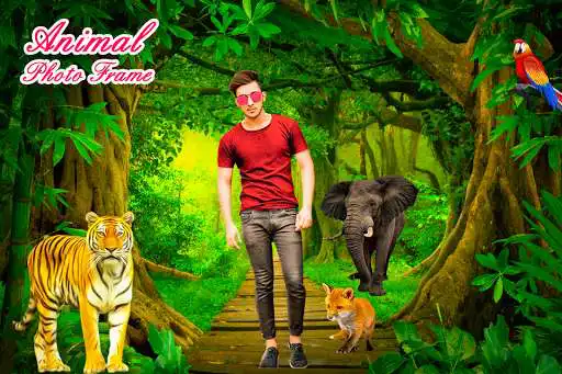 Play Animal Photo Frame  and enjoy Animal Photo Frame with UptoPlay