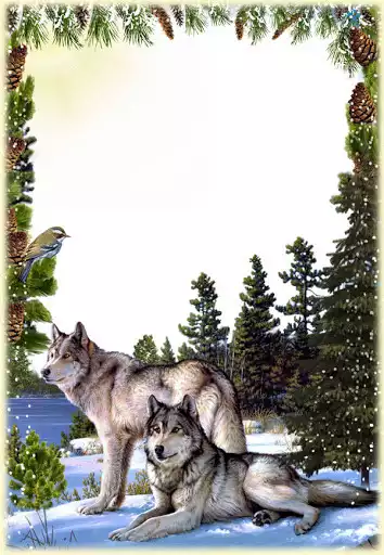 Play Animal Photo Frames  and enjoy Animal Photo Frames with UptoPlay