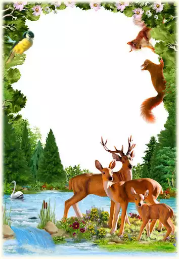Play Animal Photo Frames as an online game Animal Photo Frames with UptoPlay