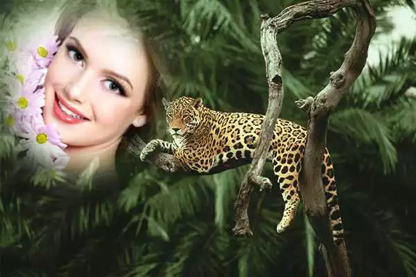 Play Animal Photo Maker