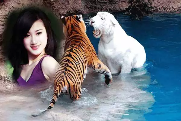 Play Animal Photo Maker