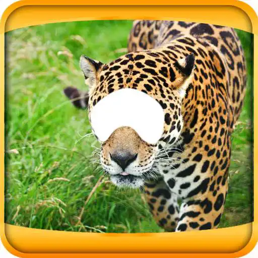 Free play online Animal Photo Montage Editor  APK