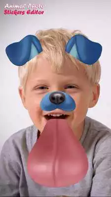 Play Animal Photo Stickers Editor