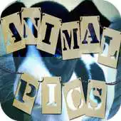Free play online Animal Pics APK Free play online Animal Pics APK
