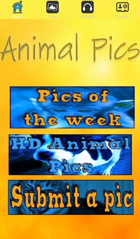 Play Animal Pics