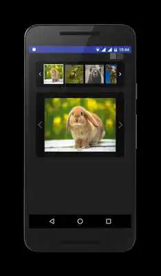Play Animal Picture Gallery
