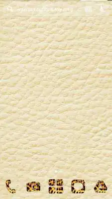 Play Animal Print Solo Launcher Theme Play Animal Print Solo Launcher Theme