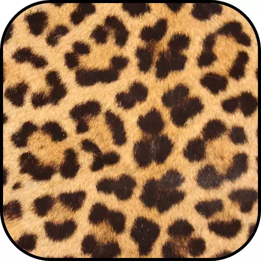 Play Animal Print Wallpapers APK