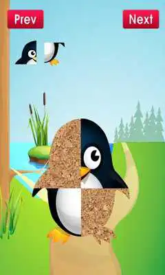 Play Animal Puzzle Game for Toddler