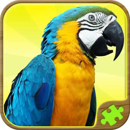 Free play online Animal Puzzle Games APK
