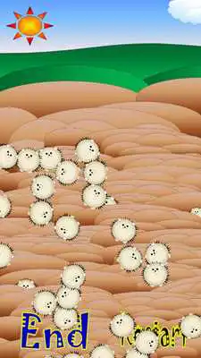 Play Animal Puzzle Games