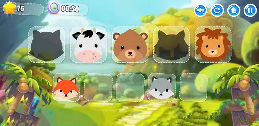Play Animal puzzles