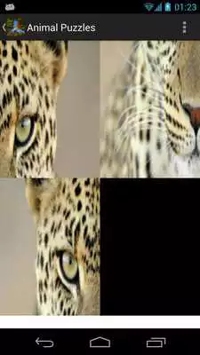 Play Animal puzzles