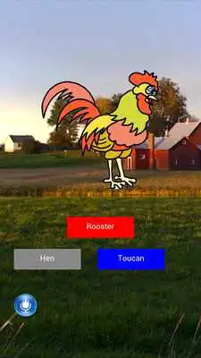 Play Animal Quiz Application Play Animal Quiz Application