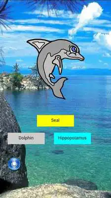 Play Animal Quiz Application Play Animal Quiz Application