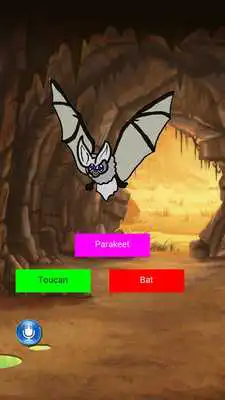 Play Animal Quiz Application Play Animal Quiz Application