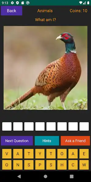Play Animal Quiz - Guess from the Picture and Trivia  and enjoy Animal Quiz - Guess from the Picture and Trivia with UptoPlay