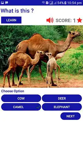 Play Animal Quiz & Sounds - kids learning game as an online game online Animal Quiz & Sounds - kids learning game with UptoPlay Play Animal Quiz & Sounds - kids learning game as an online game Animal Quiz & Sounds - kids learning game with UptoPlay