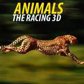 Free play online Animal Race 3D 2017 APK Free play online Animal Race 3D 2017 APK