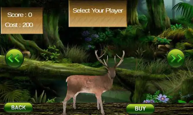 Play Animal Race 3D 2017