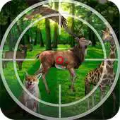 Free play online Animal Rescue Challenge APK