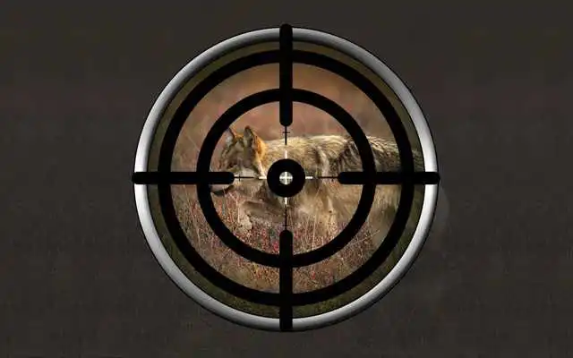 Play Animal Rescue Challenge