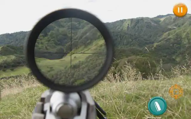 Play Animal Rescue Challenge