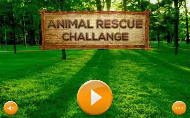 Play Animal Rescue Challenge