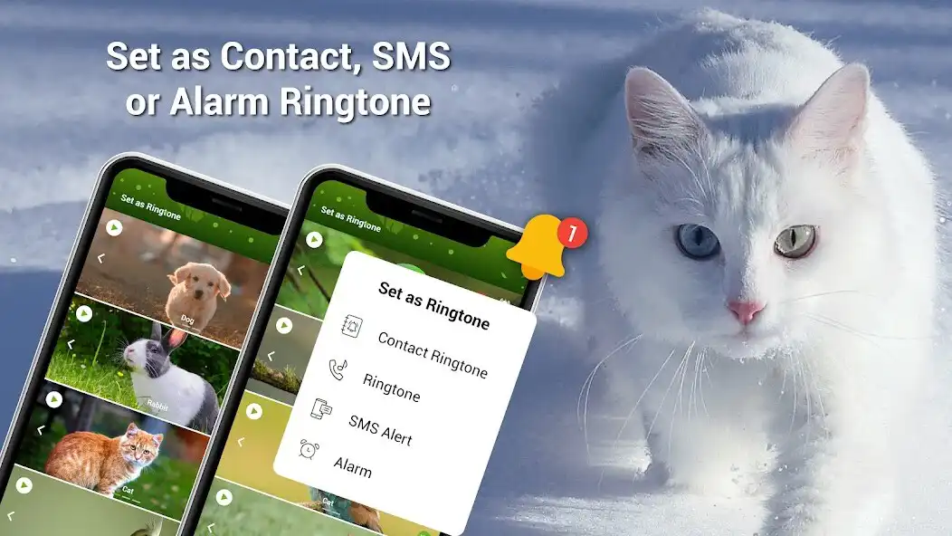 Play Animal Ringtones - Birds Sound  and enjoy Animal Ringtones - Birds Sound with UptoPlay