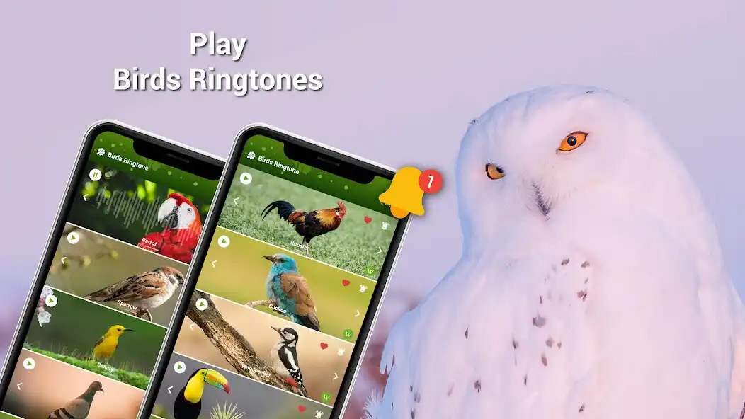 Play Animal Ringtones - Birds Sound as an online game Animal Ringtones - Birds Sound with UptoPlay