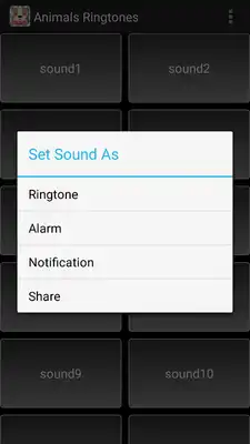Play Animal Ringtones Free