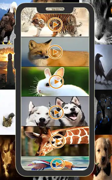 Play Animal Ringtone  Sounds as an online game Animal Ringtone  Sounds with UptoPlay