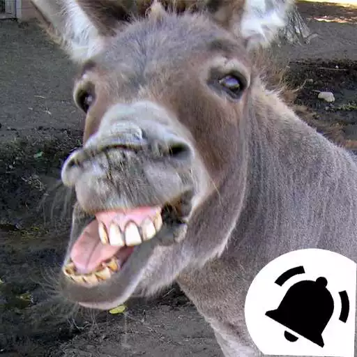 Play Animal Ringtones Sounds APK Play Animal Ringtones Sounds APK
