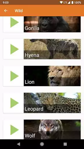 Play Animal Ringtones  Sounds as an online game Animal Ringtones  Sounds with UptoPlay