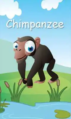 Play Animal Roundup