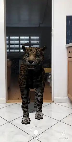 Play Animal Safari AR  and enjoy Animal Safari AR with UptoPlay