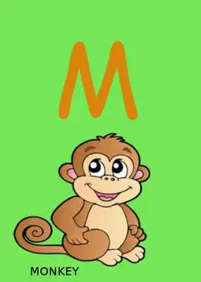 Play Animals Alphabets