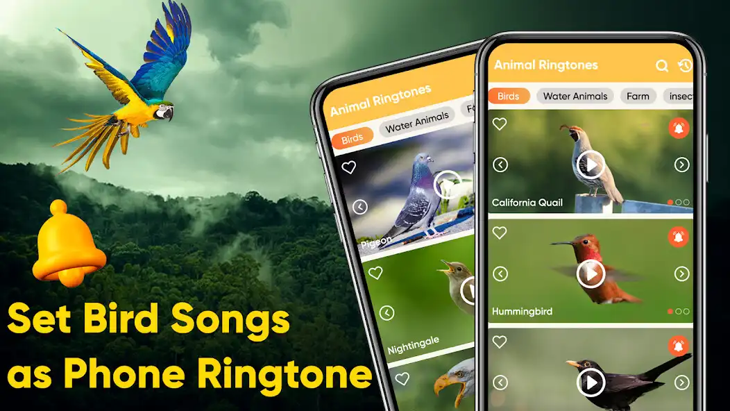 Play Animals and Birds Ringtones as an online game Animals and Birds Ringtones with UptoPlay