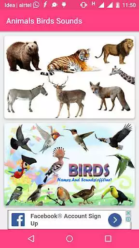 Play Animals and Birds Sounds Play Animals and Birds Sounds