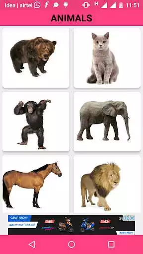 Play Animals and Birds Sounds Play Animals and Birds Sounds