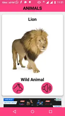 Play Animals and Birds Sounds Play Animals and Birds Sounds