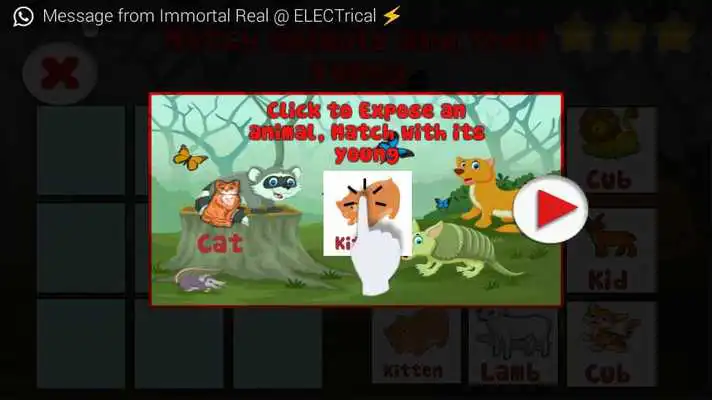 Play Animals and their Young Play Animals and their Young