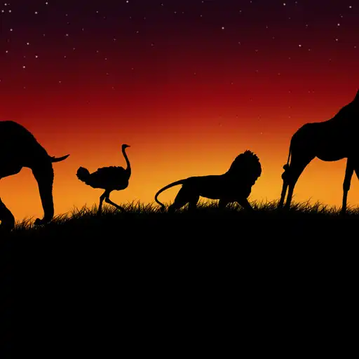 Play Animals background APK Play Animals background APK