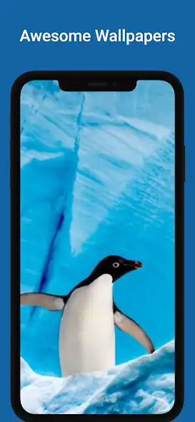 Play Animals Backgrounds HD 4K and enjoy Animals Backgrounds HD 4K with UptoPlay Play Animals Backgrounds HD 4K and enjoy Animals Backgrounds HD 4K with UptoPlay